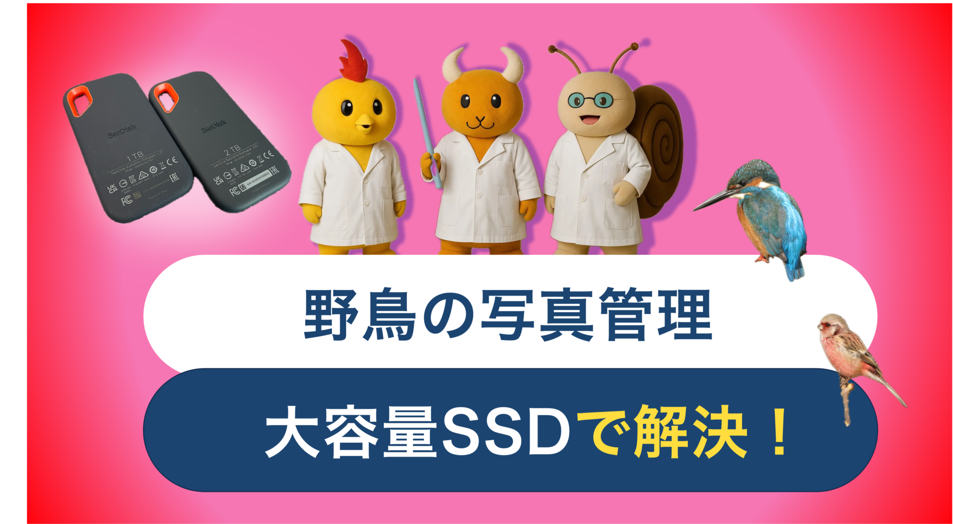 SSD_eyecatch